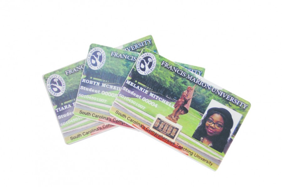 Student IDs recieve facelift: New image said to be more visually appealing