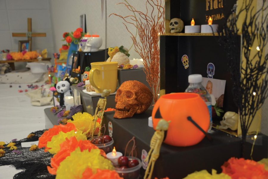 Student altars on display for the Day of the Dead altar contest. 