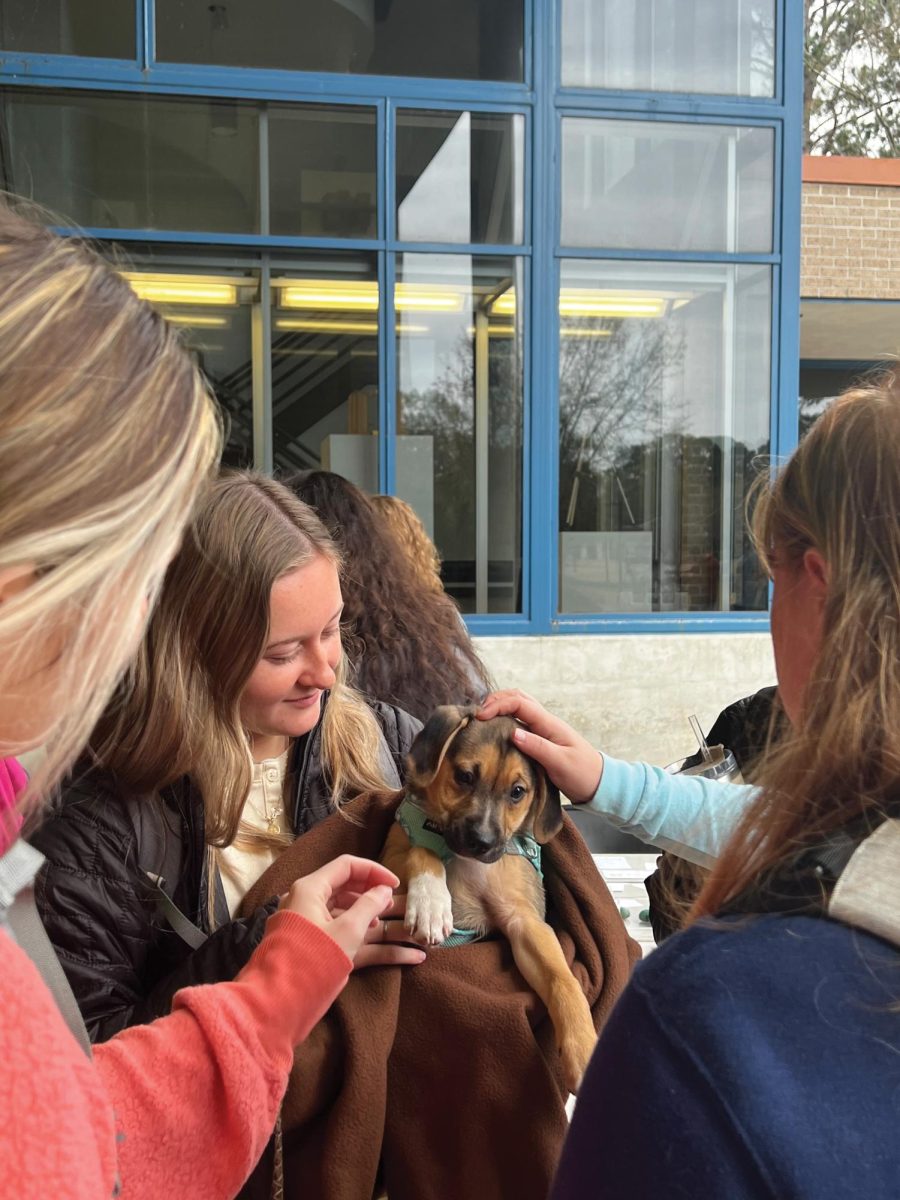 Students pet dog at Pause 4 Paws event.