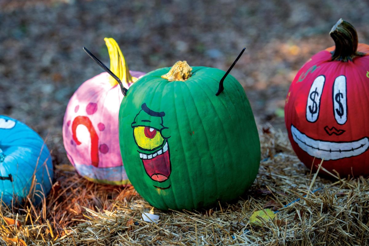 Student organization displays Spongebob-themed pumpkins.