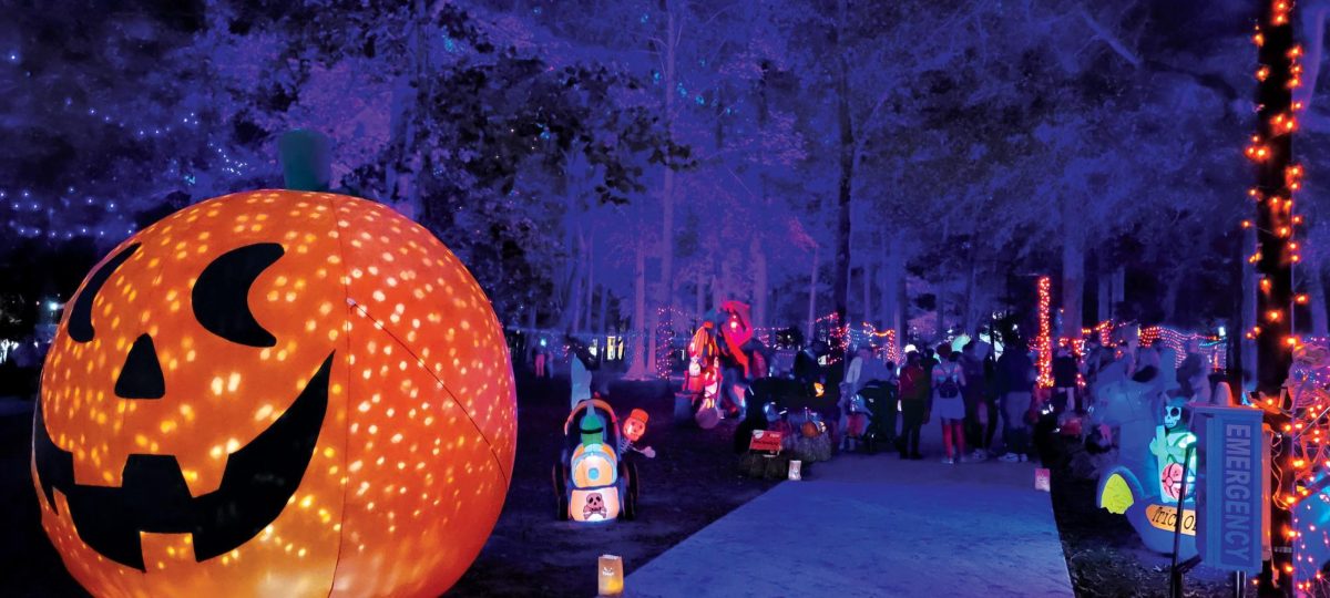 FM A'Glow pumpkin trail lit up with Halloween spirit.