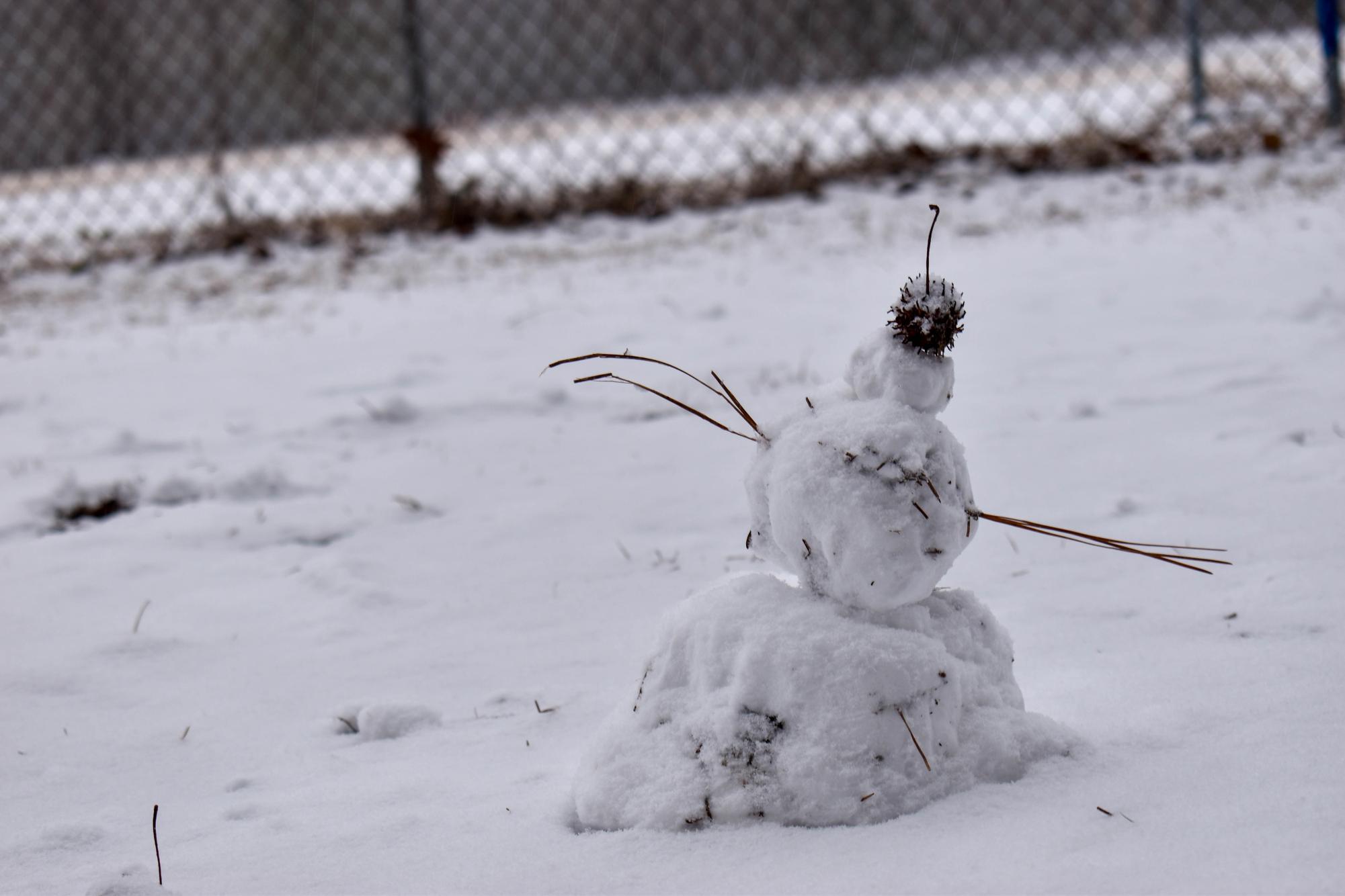 A miniature snowman stands as snow falls on campus, one of many creations left behind as students took advantage of wintry conditions (Jan. 31, 2026).